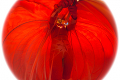 STILTLIFE-StreeTTheater-NARANJA-Olala-Festival